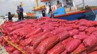  Polda Riau Gagalkan Penyelundupan 16,4 Ton Bawang Merah Ilegal 